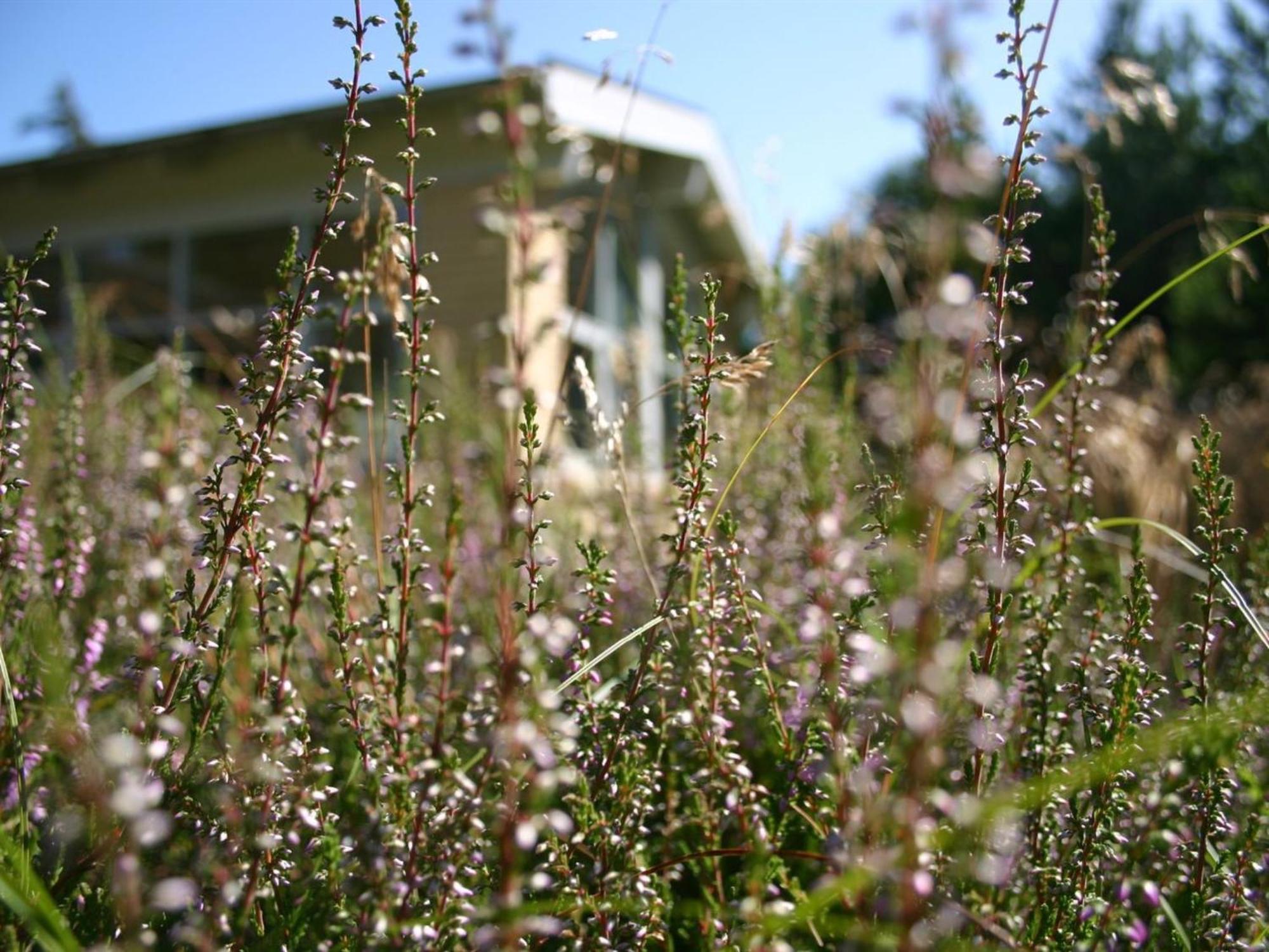 Holiday Home Gisa - 500M From The Sea In Nw Jutland By Interhome Fjerritslev Экстерьер фото